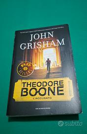 Theodore Boone  L'accusato 