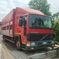 Autocarro volvo FL612 trasposto animali vivi