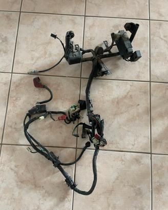 Impianto elettrico honda dominator 650
