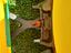 Immagine 5