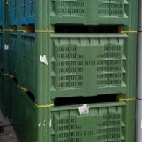 Bins agri - 10 pezzi