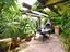 Immagine 26