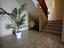 Immagine 22