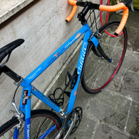Wilier Triestina