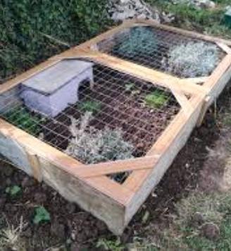 Recinto sicuro per tartarughe di terra 