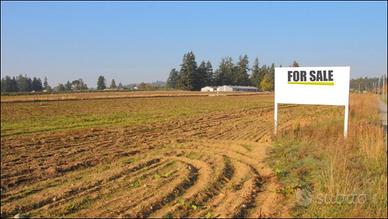 Terreno agricolo gonars