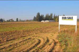 Terreno agricolo gonars