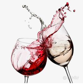 Vini pregiati,Franciacorta e Champagne