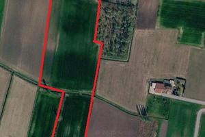 Rustico con 2,3 ettari di terreno
