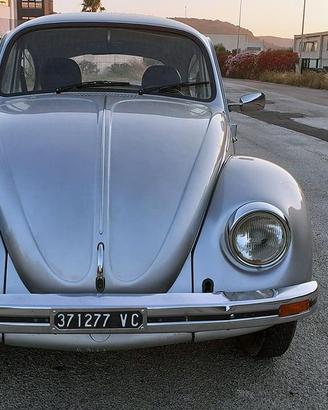 Volkswagen Maggiolino