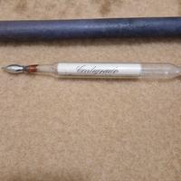 regno d' talia Centigrado Provino ufficiale