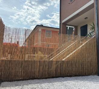 Arelle in Bamboo