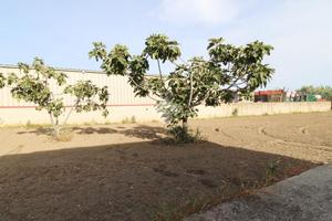 TER. RESIDENZIALE A SELLIA MARINA
