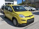 fiat-panda-1-0-firefly-s-s-hybrid-pandina