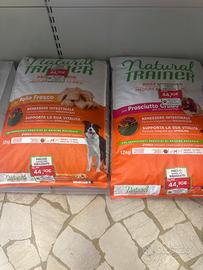 Sacchi cane trainer