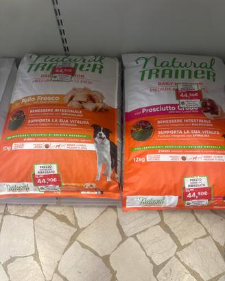 Sacchi cane trainer