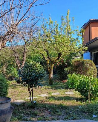 Casa Indipendente Frosinone [Cod. rif 3311338VRG]