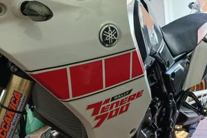Tenere 700 rally