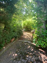 Villa SINGOLA zona Ferriere