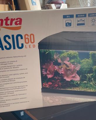 Acquario