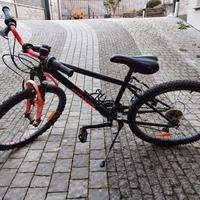 bici ragazzo 24"