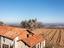 Immagine 25