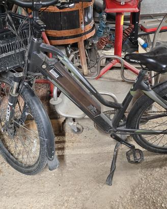 bici elettrica 36v