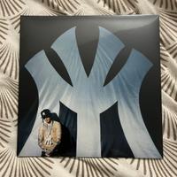 Vinile Mattia di Ronodasosa