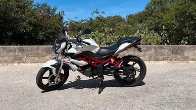 Benelli BN (2019)