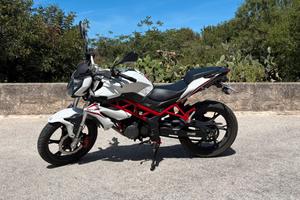Benelli BN (2019)
