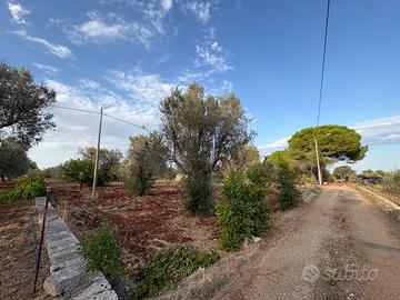 Terreno agricolo edificabile di 9030mq