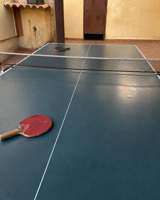 tavolo da ping pong
