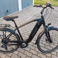 bicicletta elettrica  pedalata assistita 