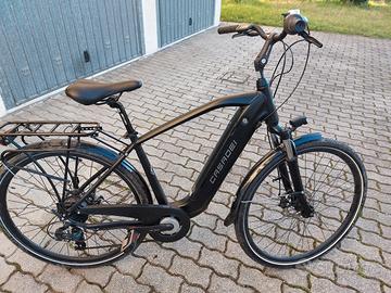 bicicletta elettrica  pedalata assistita 