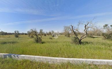 TER. AGRICOLO A VERNOLE