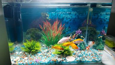 Acquario completo