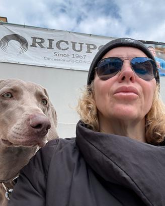 Nati il 25:06/26 sette Cuccioli weimaraner