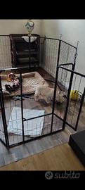 recinto per cani da interno e da esterno