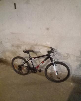 Bicicletta 