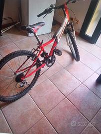 Bicicletta da bambino 7/10anni