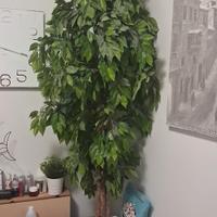 Pianta finta ornamentale per casa o ufficio