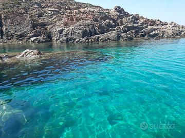 Trinità d'agultu bilo a prezzi super. Privato