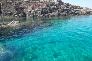 Trinità d'agultu bilo a prezzi super. Privato