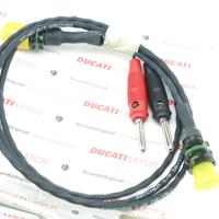 Cablaggio sensore posizione acceleratore Ducati