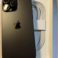 iPhone 16 Pro Max da 256GB