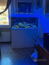 Acquario Marino Completo