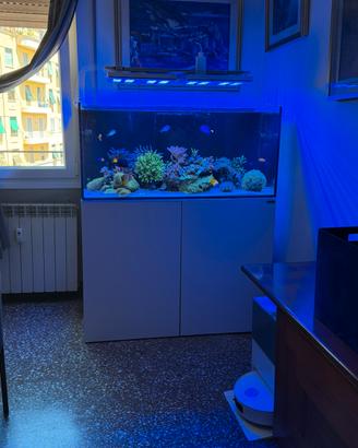 Acquario Marino Completo
