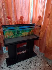 Acquario. con piedistallo 
