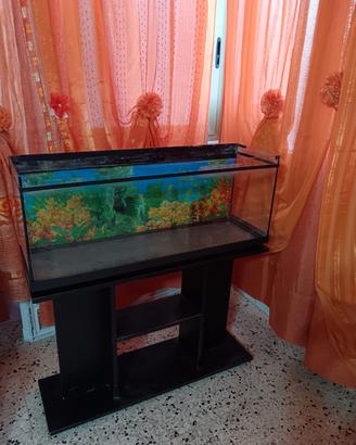Acquario. con piedistallo 