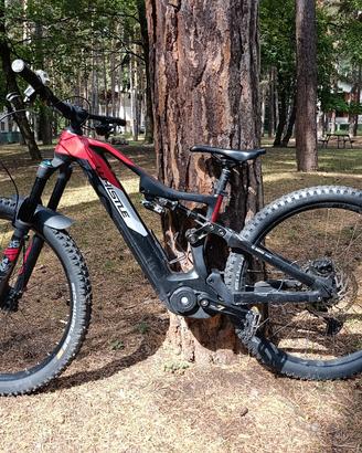Bici elettrica Whistle